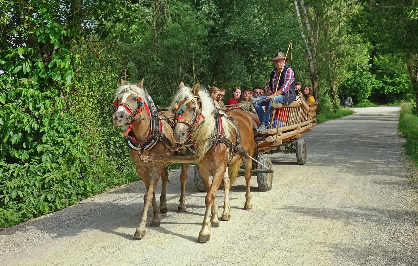 Horse-drawn carriage